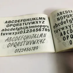 TỰ HỌC VẼ MẪU CHỮ TRANG TRÍ  756110