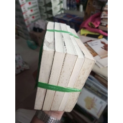 Độc Giả Và Nhân Vật Chính Đích Thị Là Chân Tình (5 Tập) - Đồi mới 80% ố nhẹ Tiểu Thuyết HCM1004 1007496