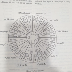 Chiêm Tinh Học Cơ Bản - Tặng Mật Ngữ Nhân Mã (83K) 490963