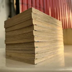 HÃY BẢO VỆ TÔI. NỮ THẦN NGUYỆT THIÊN! 957354