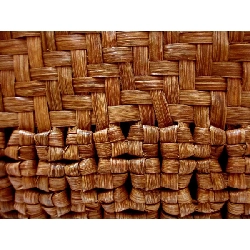 Túi nho núi - Hàng hiệu Authentic 878241