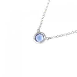 Dây chuyền Tiffany Color by the Yard - Hàng hiệu Authentic 843311