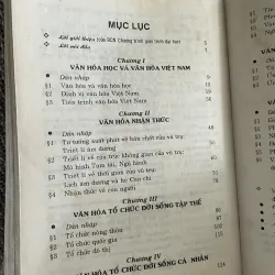 Cơ sỏ văn hóa - Trần Ngọc Thêm  1043555