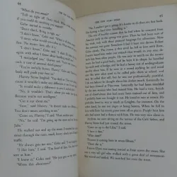 The Sun Also Rises - Ernest Hemingway 976387