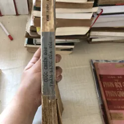 Cuộc chiến đấu thầm lặng của tôi 973901