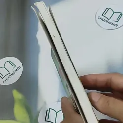 Truyện Kiều 698643