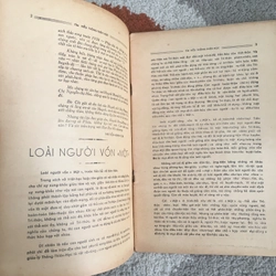 Tìm Hiểu Thông Thiên Học - Số Xuân Bính Thân 1956 271892