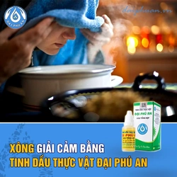 HÀNG MỚI Tinh dầu thực vật Đại Phú An chính hãng 465962