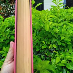 Kieu de Nguyen Du 960887