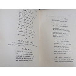SÃI VÃI - NGUYỄN CƯ TRINH 128792