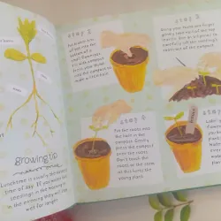 Flowerpot Farm: A First Gardening Activity Book 1005347