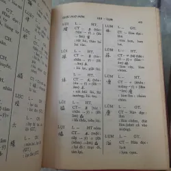 TỰ ĐIỂN CHỮ NÔM - NGYỄN QUANG XỸ, VŨ VĂN KÍNH 746183