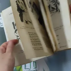 Cao Ly Đầu Hình 928568