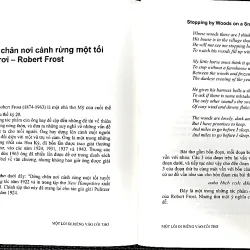 MỘT LỐI ĐI RIÊNG VÀO CÕI THƠ - Tác giả VĨNH ĐÀO 1042026