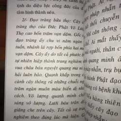 Khai Thị Luận Kinh đại bảo tích pháp hội vô lượng thọ như lai  734446