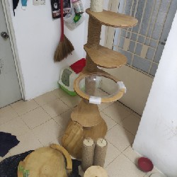 Cattree cao dành cho mèo