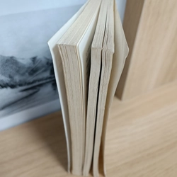 Văn học là gì (Sartre) 463139