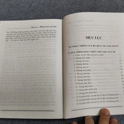 DẠY CON NHỮNG ĐIỀU CẦN BIẾT 545761