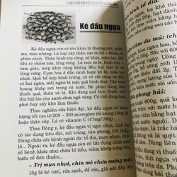 📗 CHỮA BỆNH TỪ CÂY CỎ VƯỜN NHÀ & BÀI THUỐC GIA TRUYỀN – Lương y Quách Văn Minh  482482