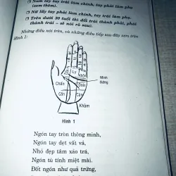 Học Thuyết Văn Bàn Tay của Gia Các Khổng Minh  957158