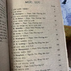 Tình Nhân Của Nàng - Gorki 928032