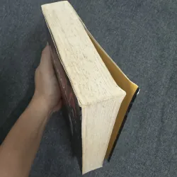 Sói già phố Wall - Jordan Belfort 754318