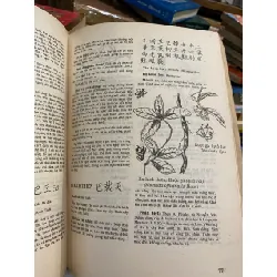 Danh từ Dược học Đông y - Lê Quý Ngưu, Trần Thị Như Đức 718384