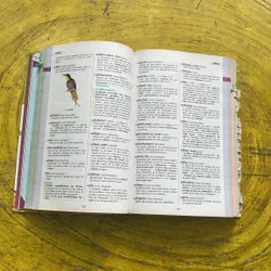 DICTIONNAIRE HACHETTE JUNIOR CE-CM 8-11 ANS 697410