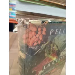 La Cuisine Familiale et Pratique - Pellaprat 284586