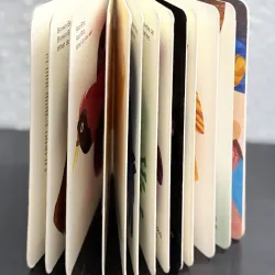 Board book Brown Bear, Brown Bear, What Do You See? 927847