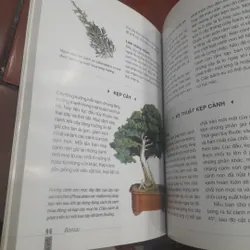 DAVID PRESCOTT - Cẩm nang BON SAI 731233