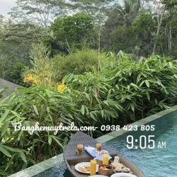 Khay nổi hồ bơi hình thuyền 702743