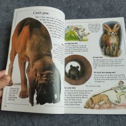 ĐỘNG VẬT CÓ VÚ 559729
