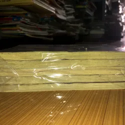 Thiên địa nam nhi - Tang Ai - Rex Sun 783793