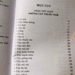 TỰ CHỮA BỆNH BẰNG CÂY THUỐC NAM THÔNG DỤNG DỄ TÌM  455909