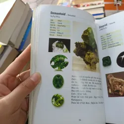 Sổ tay người chơi đá - Đỗ Đức Quang 926968