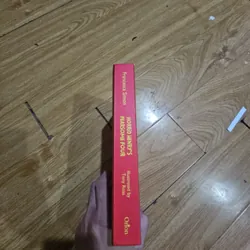 Horrid Henry's Fearsome Four Giá 30k  602675