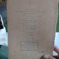 PHẬT PHÁP (BẬC HƯỚNG THIỆN)
 518360