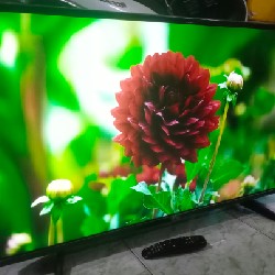 [Tivi Wifi 43" - Độ phân giải 4K - Lướt Youtube Cực nhanh] Thanh lý 9850