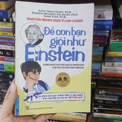 Để Con Bạn Giỏi Như Einstein - Einstein Never Used Flash Cards