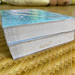 Như hoa, như sương, lại như gió 317074