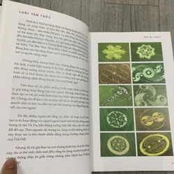 Luật tâm thức, vũ trụ nhất nguyên luận. 3b1 689229