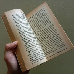 The English patient, sách ngoại văn tiếng Anh english book tiểu thuyết  707862