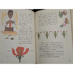 Science and Life 1001921