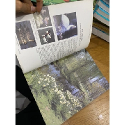 Leeds Castle - Maidstone Kent 550894