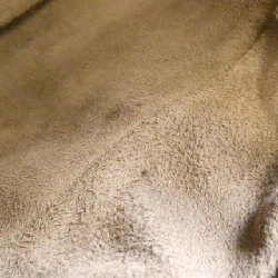 Bottega Veneta 239988 Túi - Hàng hiệu Chính hãng 766785