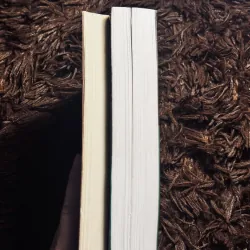 Combo 2 tác phẩm Hoàng Minh Tường 1020725