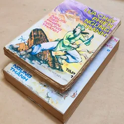 Trọn bộ kiếm hiệp Trung Quốc: NGƯỜI ĐẸP PHIÊN NGUNG THÀNH (Sơn Linh) 729209