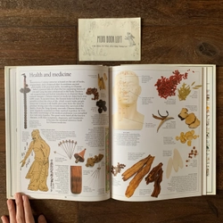Sách ngoại văn China (Eyewitness Guides), Used, Bìa cứng 542203