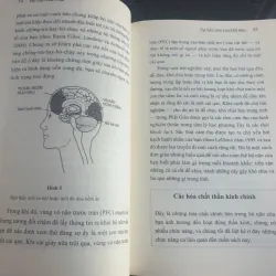 Bộ não của Phật - Hạnh phúc, Tình Thương và Trí tuệ 736981